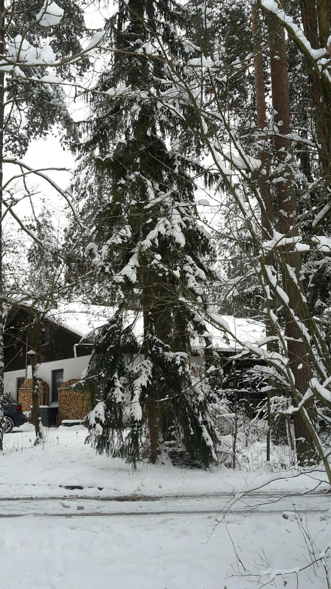 Bungalow Direkt Am See, Mit Eigenem Boot Roding Exterior foto